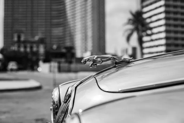 קזינו לוני בינגו אפליקציית Android/iOS